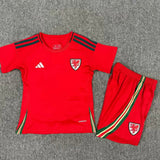 Kids Wales 2024/25 Football Kit Shirt Soccer Jersey Home & Away