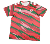 Wales Training 2024/25 Football Shirt Soccer Jersey